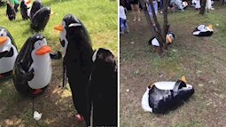 Lừa cả trẻ con: Đến công viên ngắm chim cánh cụt, các em nhỏ lại tá hỏa vì cái mà người ta trưng bày!