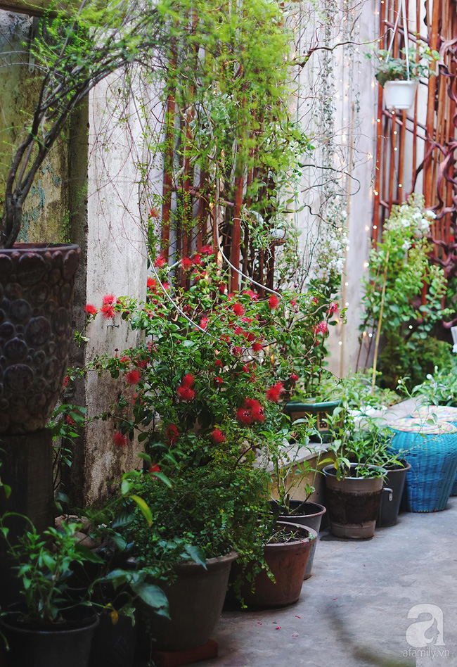 Giữa Sài Gòn xô bồ, vẫn có một nơi bạn có thể tĩnh tâm với đồ ăn thức uống đơm hoa - Ảnh 14.