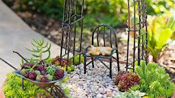 4 bước tạo nên một "khu vườn mini" cực xinh đặt trên bàn làm việc của bạn