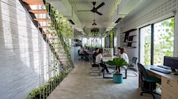 Văn phòng rợp mát trong căn nhà Đà Nẵng phủ đầy cỏ lau, tre, chuối