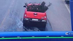 Vụ ăn trộm cây hồng gần 20 năm tuổi ở Sơn La: ‘Thông tin bất ngờ về chiếc xe bán tải màu đỏ’