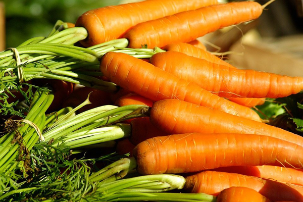 Cà rốt giàu vitamin A, có khả năng có thể khiến cho quá trình phân hủy elastin và collagen chậm lại và bảo vệ da khỏi sự lão hóa.