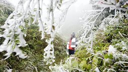Dự báo thời tiết 9/1: Miền Bắc rét nhất trong năm, Sapa khả năng có băng giá và tuyết rơi