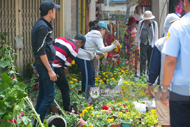 Câu chuyện đáng yêu về hai vợ chồng “dịu dàng giữa thịnh nộ”: Mang hoa ế 30 Tết trang trí cho vòng xoay ở Sài Gòn - Ảnh 1.