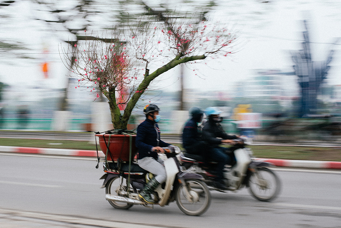 4 phiên chợ ngày Tết không nên bỏ lỡ tại Hà Nội