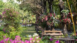 Cuối tuần đi đâu: Tận hưởng thiên nhiên trong lành chỉ mất 30 phút đi xe từ Hà Nội