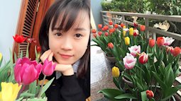 Tết rồi, học cô gái 9X này trồng hoa tuylip, 10 cây nở đẹp cả 10