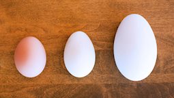 Trứng gà, vịt, ngỗng, trứng nào bổ nhất?