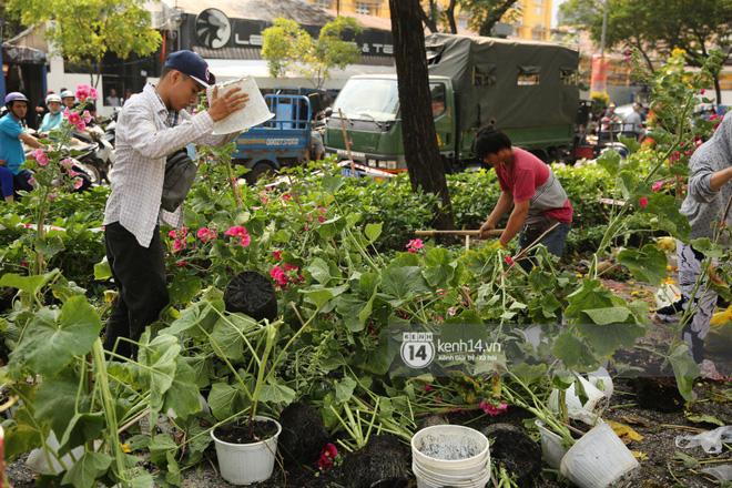 Câu chuyện đáng yêu về hai vợ chồng “dịu dàng giữa thịnh nộ”: Mang hoa ế 30 Tết trang trí cho vòng xoay ở Sài Gòn - Ảnh 1.