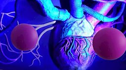 Phát hiện cơ quan mới trên cơ thể người, mở ra hi vọng chữa tận gốc bệnh ung thư