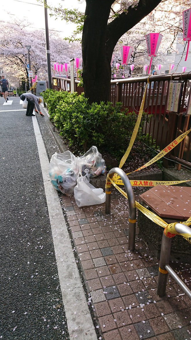 Đi ngắm hoa anh đào rồi để lại cả núi rác, đến người dân Nhật Bản cũng phải lắc đầu ngao ngán khi thấy những cảnh này - Ảnh 4.