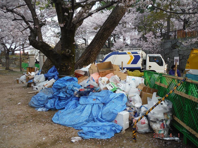 Đi ngắm hoa anh đào rồi để lại cả núi rác, đến người dân Nhật Bản cũng phải lắc đầu ngao ngán khi thấy những cảnh này - Ảnh 5.