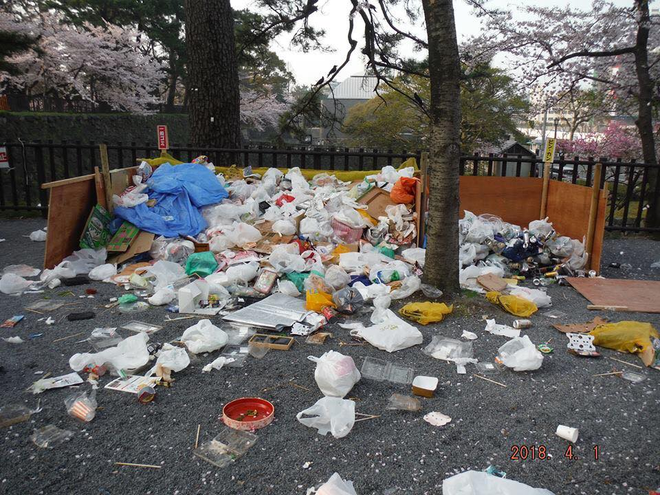 Đi ngắm hoa anh đào rồi để lại cả núi rác, đến người dân Nhật Bản cũng phải lắc đầu ngao ngán khi thấy những cảnh này - Ảnh 5.