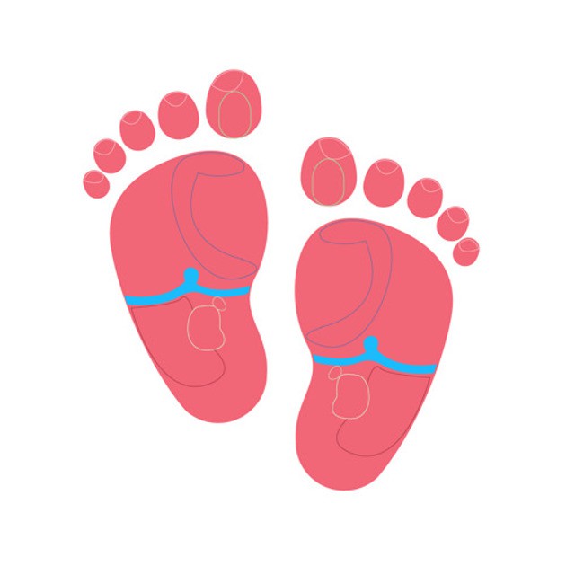 Điểm trung tâm của bàn chân được liên kết với cơ hoành. Nếu bạn nghi ngờ con bạn bị đau dạ dày, hãy thử xoa bóp khu vực này (màu xanh da trời ở hình trên).