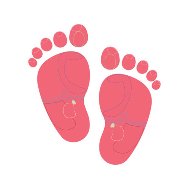 Bấm huyệt chân kết nối vị trí nhỏ này (màu vàng trên hình) vào các tuyến thượng thận. Nhẹ nhàng xoa bóp điểm này để giúp bé thức dậy.