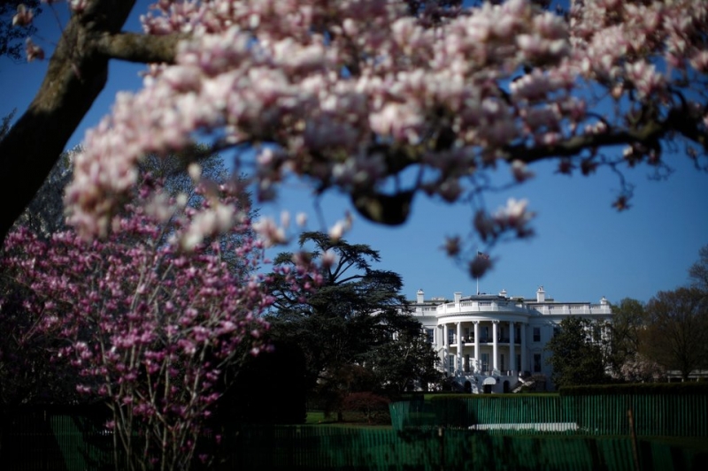  Cố Tổng thống Thomas Jefferson là người đầu tiên biến khuôn viên thành nơi thích hợp để trồng cây và hoa. Sau đó, khoảng 17 đời tổng thống đã trồng cây khắp các khu đất quanh dinh thự. Trong ảnh là cây hoa mộc lan nở hoa rực rỡ ở bãi cỏ phía nam của Nhà Trắng.