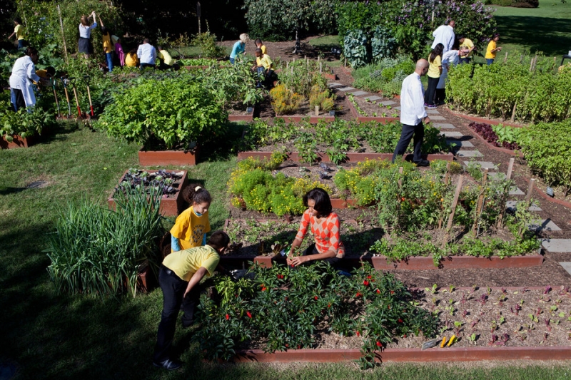  Ngay cạnh Vườn trẻ em là Khu vườn nhà bếp được cựu Đệ nhất phu nhân Michelle Obama trồng năm 2009. Khu vườn rộng 260 m2 này tạo ra nhiều loại trái cây theo mùa, rau và thảo dược. Tất cả thực phẩm không dùng tới sẽ được gia đình Tổng thống tặng cho các tổ chức từ thiện địa phương.