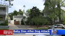 Bé 3 tháng tuổi chết do bị chó cắn ngay tại nhà riêng