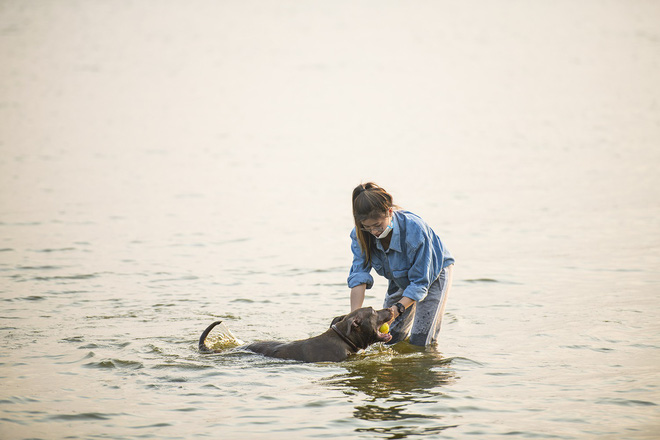 Nhiều người đưa chó cưng ra Hồ Tây cùng tắm để giải nhiệt ngày nắng nóng - Ảnh 11.