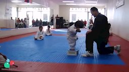 Chết cười với màn luyện võ siêu đáng yêu của nhóc tỳ Nhật Bản