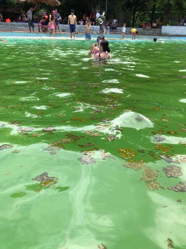 Hình ảnh làn nước xanh nhưng nhiều váng bẩn được 1 vị khách đến chia sẻ.