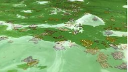 Khách chụp ảnh biển nhân tạo tại Khoang Xanh - Suối Tiên đầy váng đen và xác côn trùng, đại diện khu du lịch nói gì?