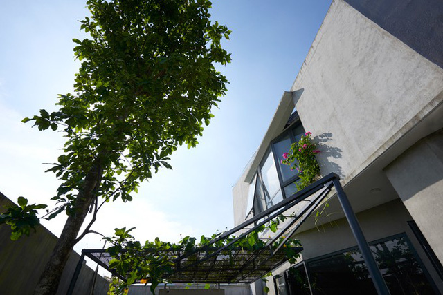 Các loại vật liệu hoàn thiện mộc mạc cùng cây xanh khiến ngôi nhà tiện nghi ở Sài Gòn đem lại cảm giác thân quen với người chủ lớn lên ở vùng quê.