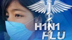 Phòng chống cúm A H5N1/H1N1 bằng tinh dầu tràm, bạn đã thử chưa?