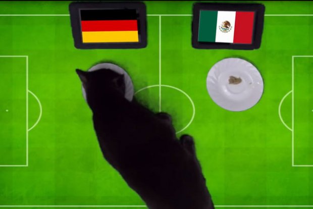 Mèo Cass dự đoán Đức sẽ đánh bại Mexico.