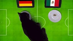 ‘Tiên tri’ mèo dự đoán Đức sẽ hạ gục Mexico