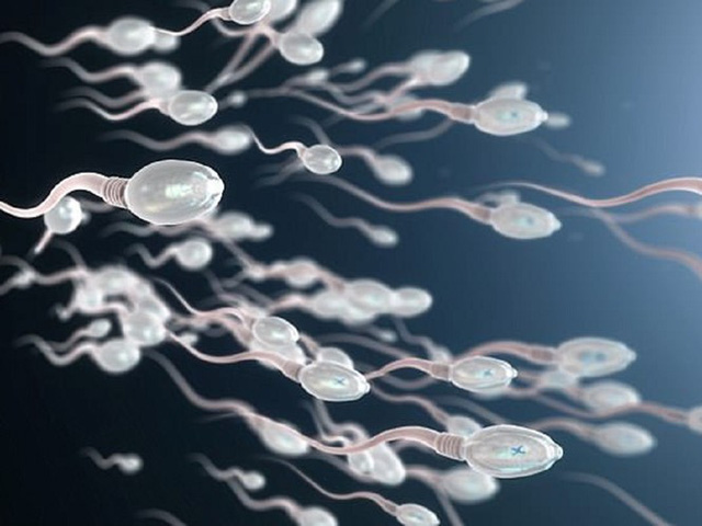 Loại gel ngừa thai mới cho nam giới giúp lượng tinh trùng của họ giảm xuống mức ngang bằng với khi sử dụng các biện pháp tránh thai làm giảm lượng tinh trùng khác.