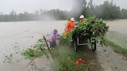 Hà Giang đề nghị Bộ Y tế hỗ trợ thuốc, hóa chất phòng chống bão lụt