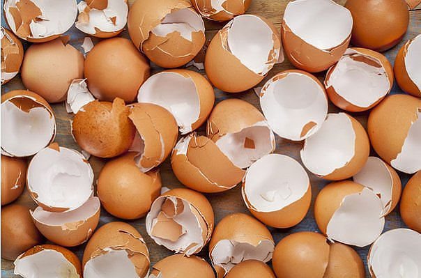 Vỏ trứng là nguồn bổ sung canxi dồi dào cho xương hình ảnh