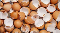 Đừng vứt vỏ trứng đi nếu bạn muốn khỏe đẹp thế này