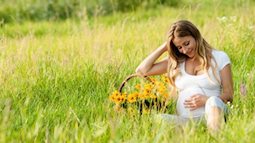 Có thể mẹ bầu chưa biết: 3 việc mẹ càng lười biếng càng giúp thai nhi khỏe mạnh