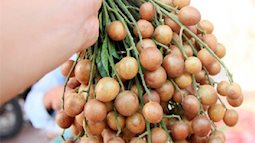 Chuyên gia Đông y tiết lộ: Thứ "quả vàng" mùa hè là vị thuốc rất quý nhiều người đang để phí