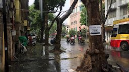 Hà Nội: Hả hê đón cơn mưa đầu tiên chấm dứt chuỗi ngày nắng nóng kéo dài
