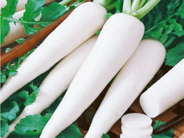 Vỏ củ cải trắng có chứa furocoumarins hình ảnh