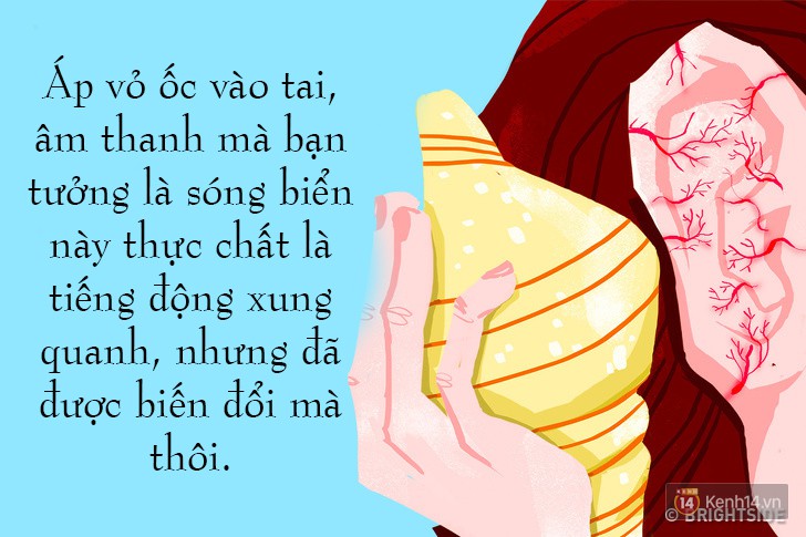 8 sự thật thú vị về cuộc sống khiến ai cũng ngỡ ngàng, số 6 biết rồi giơ tay làm thử luôn - Ảnh 15.