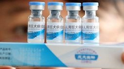 Vắcxin phòng dại của công ty Trung Quốc vi phạm tiêu chuẩn