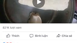  Cô gái Hà Nội bị bao người mắng té tát vì đăng clip cảnh báo đậu phụ giả "vắt ra nước, dẻo như cao su" gần triệu lượt xem