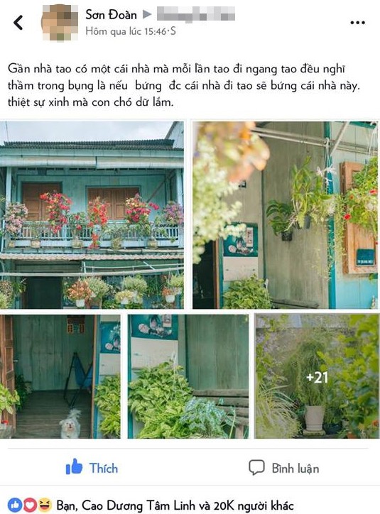 Sau 2 ngày nổi tiếng trên mạng, ngôi nhà thơ mộng ở An Giang bị mất hơn 10 chậu cây - Ảnh 4.
