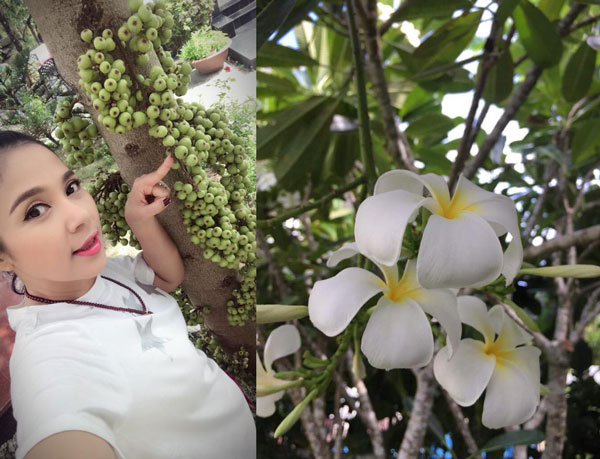 Nhiều người khen ngợi Việt Trinh và mong ước có cuộc sống giản đơn, yên bình bên thiên nhiên của cô.
