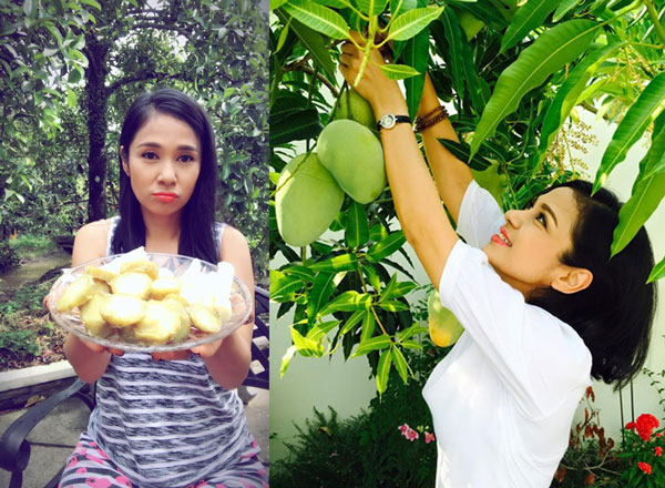 Căn nhà của Việt Trinh gây ấn tượng với khu vườn ngập cây trái như những nhà vườn quen thuộc ở Nam Bộ.