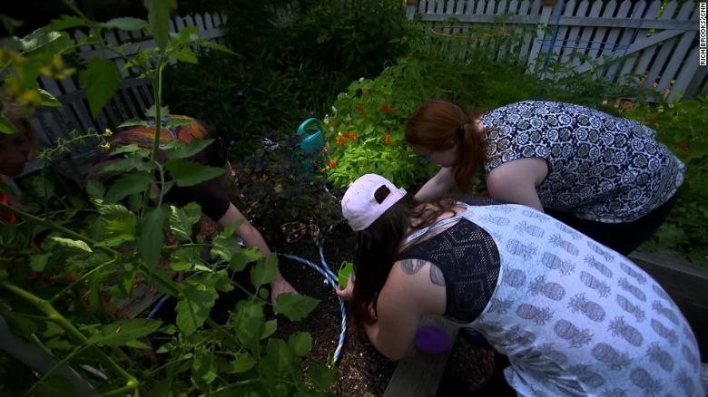 Làm vườn giúp cải thiện sức khỏe cả về thể chất lẫn tinh thần hình ảnh