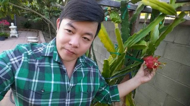 Nhiều người ví von khu vườn của Quang Lê không khác gì vườn cây của một người nông dân Việt Nam thứ thiệt.