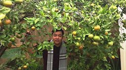 Vườn cây trái của ca sĩ Quang Lê trên đất Mỹ