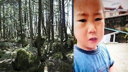 Lạc trong rừng 3 ngày, cậu bé 2 tuổi sống sót một cách kỳ diệu