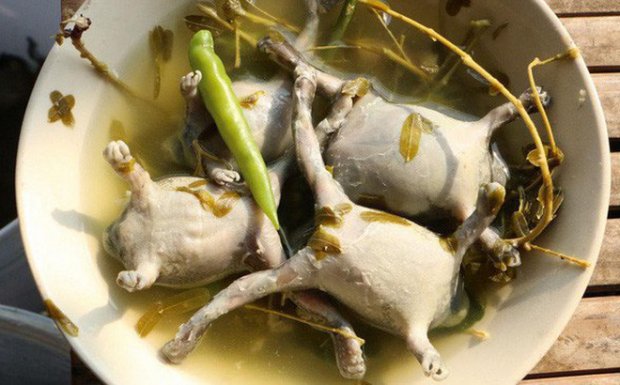 Món ếch òn nguyên con khiến nhiều người nhìn thôi đã khiếp vía này hóa ra là đặc sản nổi tiếng ở một vùng đất tại Việt Nam