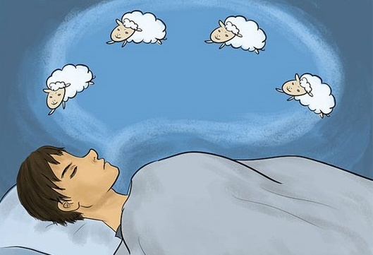 Trái với suy nghĩ của nhiều người, đếm cừu không giúp bạn chìm vào giấc ngủ mà ngược lại còn khiến bạn khó ngủ hơn. 
